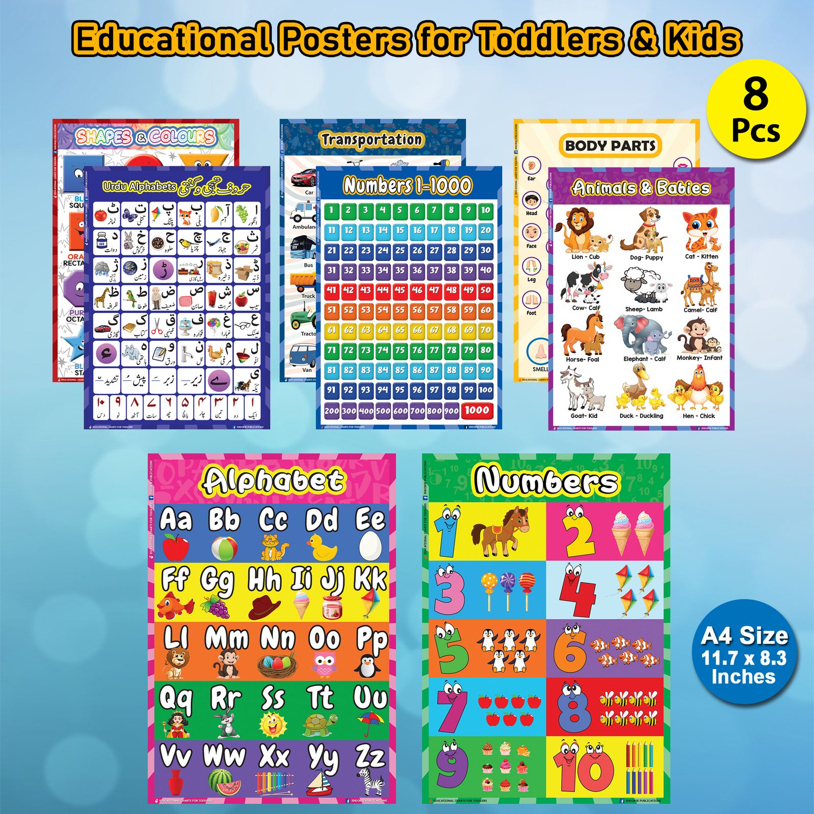 Educational Preschool Poster Learning Charts A4 size 08pcs for Toddler and Kid for Nursery