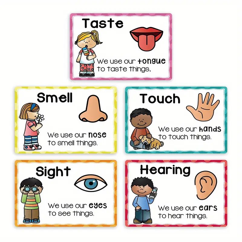 Educational Five Senses Posters for Kids 5pcs Preschool Classroom Learning Charts High-Quality Paper Wall Art Waterproof Layer