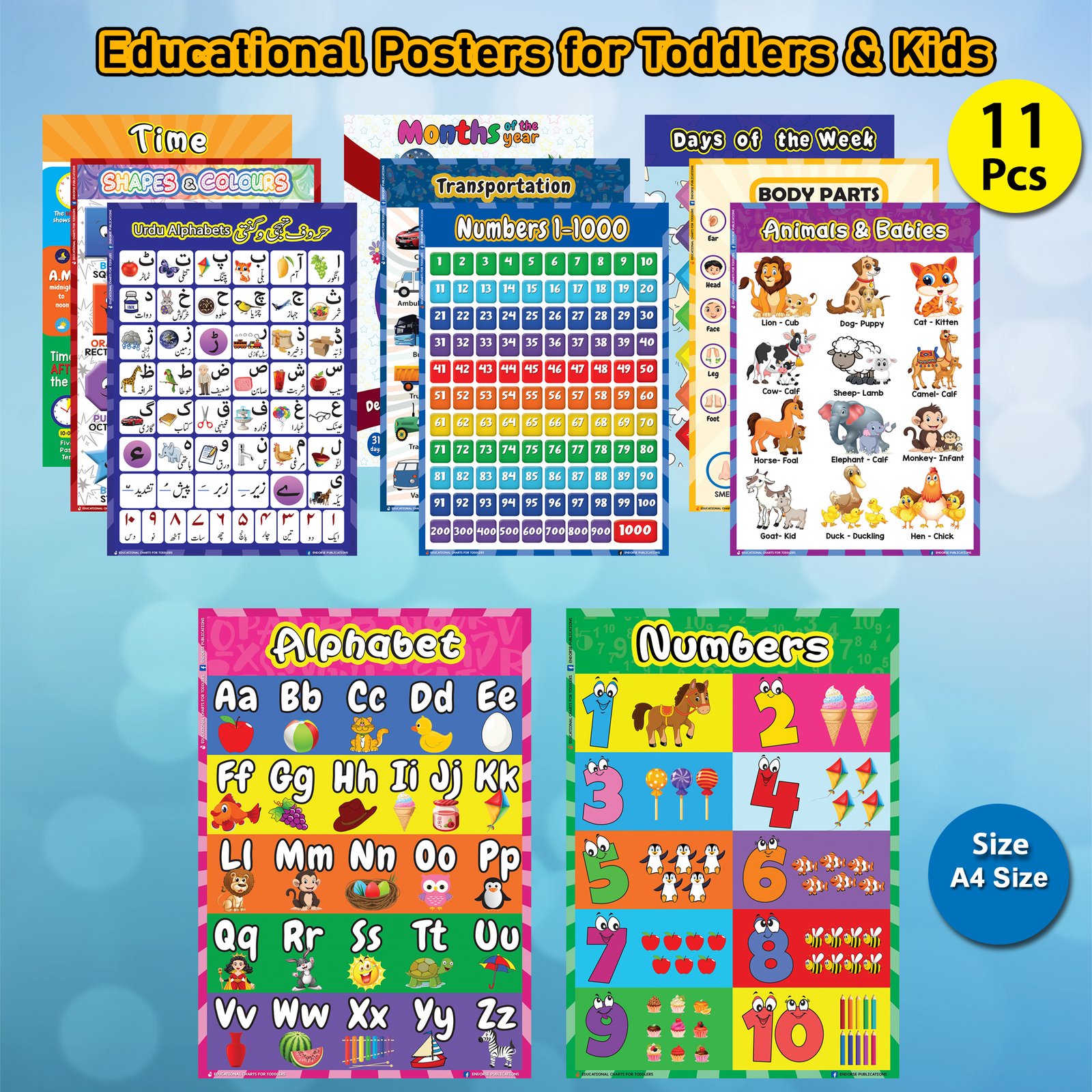 Educational Preschool Poster Learning Charts A4 size 11 pcs for Toddler and Kid for Nursery