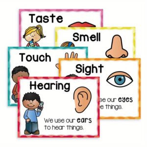 Educational Five Senses Posters for Kids 5pcs Preschool Classroom Learning Charts High-Quality Paper Wall Art Waterproof Layer