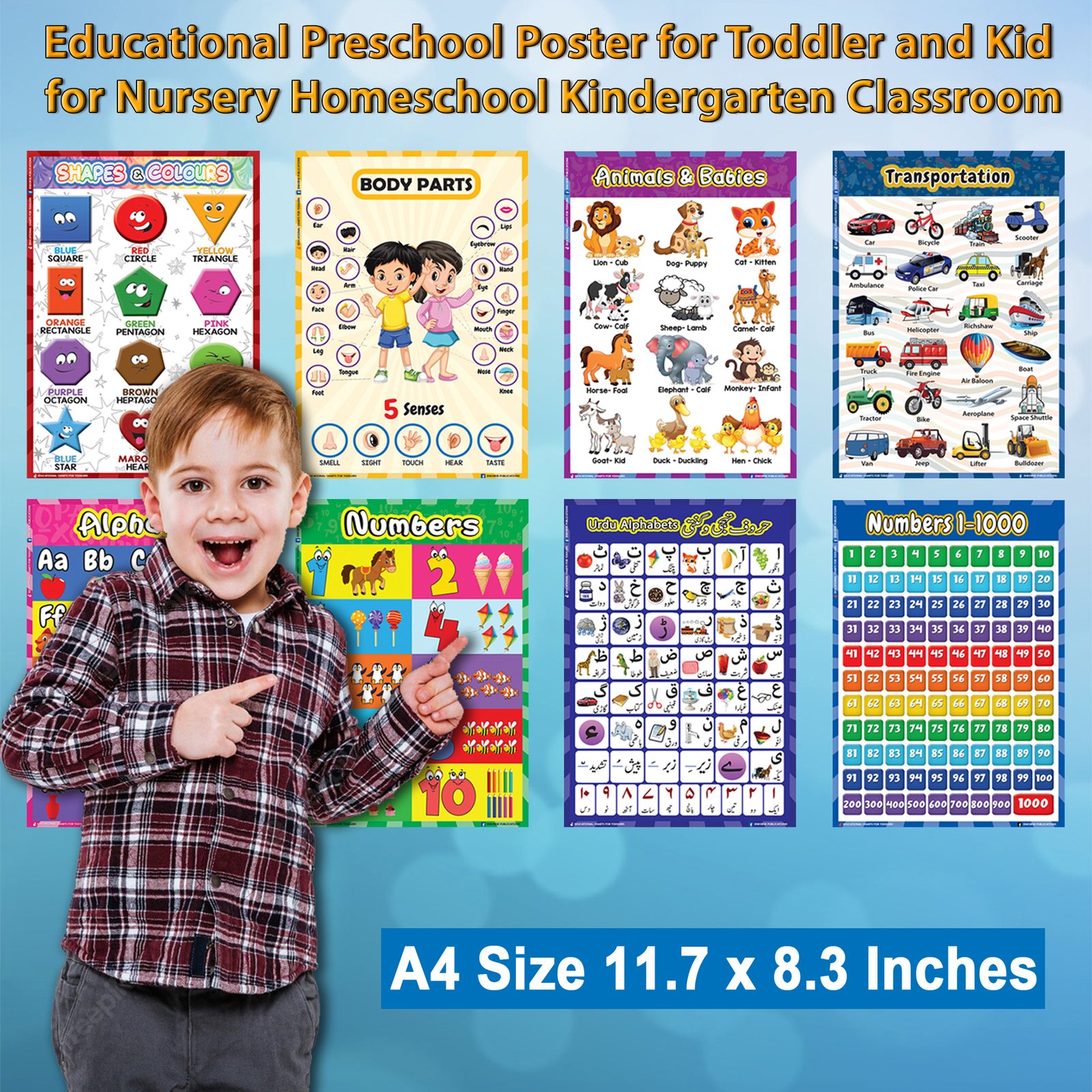 Educational Preschool Poster Learning Charts A4 size 04pcs for Toddler and Kid for Nursery